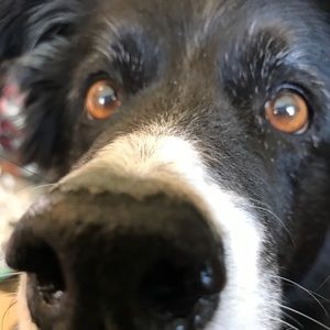 Meet your Posher, Claire